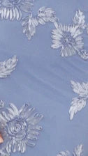 Darlee Maxi Dress - Blue Floral